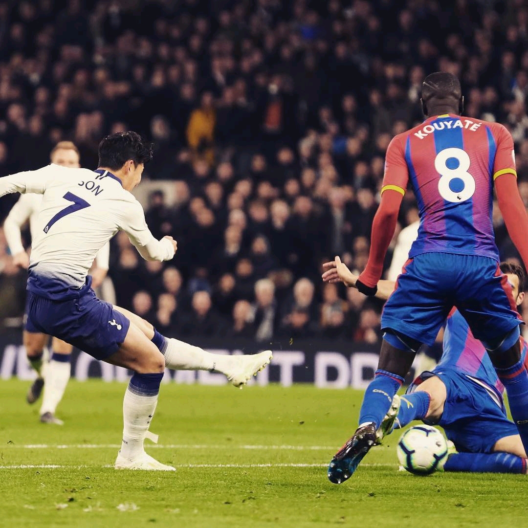 儘管球迷們 儘管球迷們