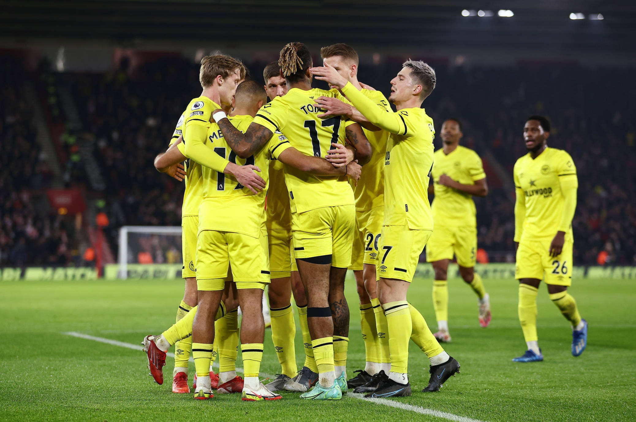 供了宝贵的 供了宝贵的