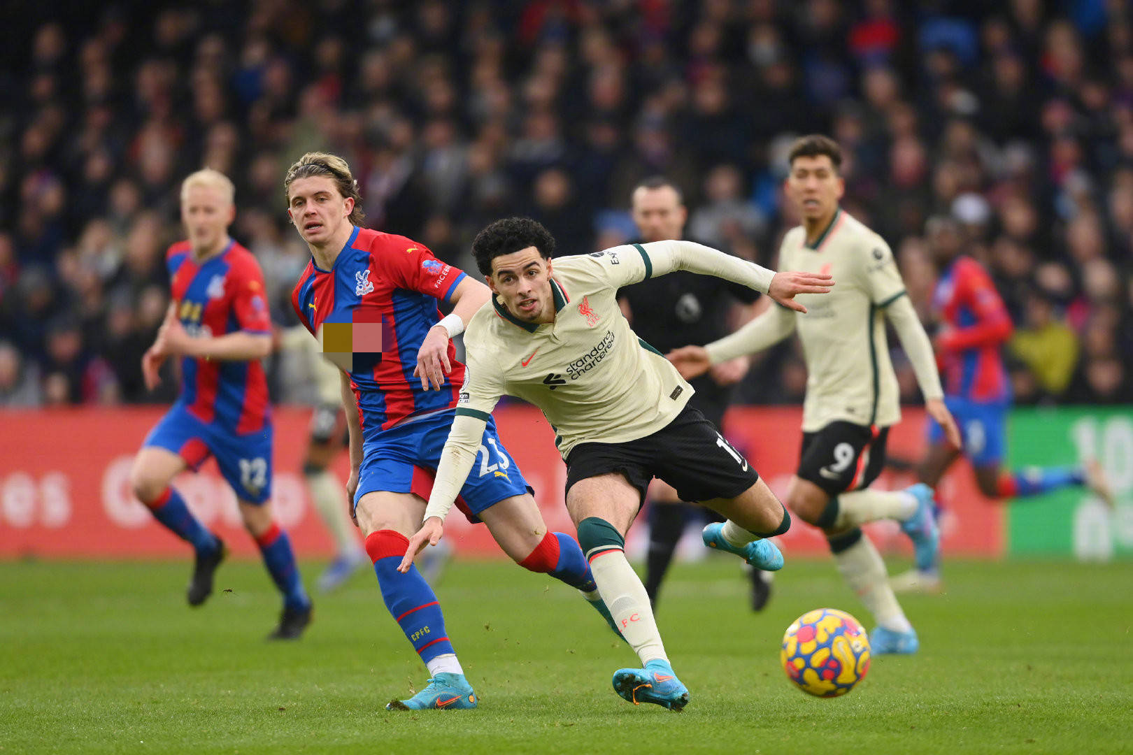 裁判的直观 裁判的直观